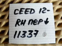 Петля двери передней правой нижняя на Kia Ceed JD — фото 4