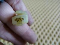 Шлейф рулевой на Chevrolet Lacetti J200 — фото 7