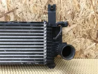 Интеркулер на Nissan Pathfinder R51 — фото 6