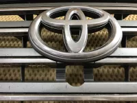 Решетка радиатора на Toyota Land Cruiser — фото 10