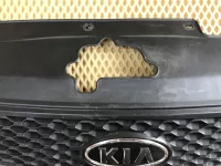 Решетка радиатора на Kia Rio JB — фото 5