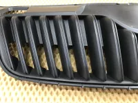 Решетка радиатора на Skoda Fabia 5J — фото 10
