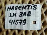 Петля двери задней левой нижняя на Kia Magentis MG — фото 5