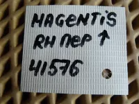 Петля двери передней правой верхняя на Kia Magentis MG — фото 4