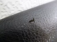 Комплект обшивок двери на Ford Mondeo 3 — фото 23