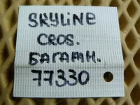 Петля двери багажника на Nissan Skyline Crossover J50 — фото 4