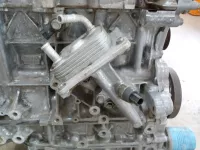 Двигатель на Renault Koleos Y — фото 10