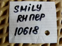 Петля двери передней правой нижняя на Lifan Smily 320 — фото 5