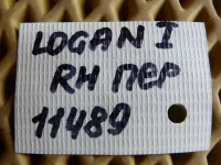 Петля двери передней правой нижняя на Renault Logan L90 — фото 5