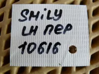 Петля двери передней левой нижняя на Lifan Smily 320 — фото 5