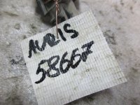 Насос омывателя на Toyota Auris E150 — фото 5