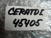 Шлейф рулевой на Kia Cerato LD — фото 8