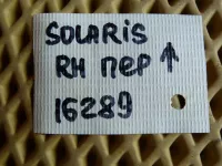 Петля двери передней правой верхняя на Hyundai Solaris — фото 5