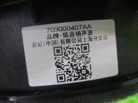 Динамик на Chery Tiggo 8 Pro Max — фото 7