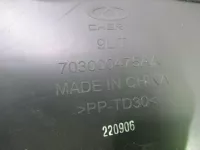 Сабвуфер на EXEED RX — фото 10