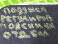 Подушка сиденья передняя левая на EXEED LX — фото 13