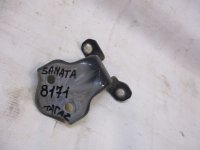 Петля двери задней левой нижняя на Hyundai Sonata EF — фото 2