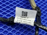 проводка двери задней левой на Geely Atlas Pro NL-3 — фото 5
