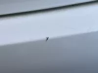 Бампер задний на Hyundai Solaris — фото 7