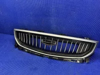 Решетка радиатора на Geely Emgrand SS11 — фото 2