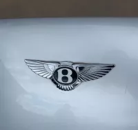 Крышка багажника на Bentley Flying Spur — фото 4
