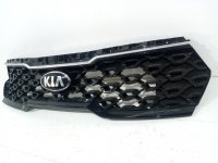 Решетка радиатора Kia Sorento (2020) — фото 1