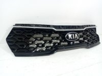Решетка радиатора на Kia Sorento MQ4 — фото 4