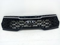 Решетка радиатора на Kia Sorento MQ4 — фото 2
