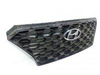 Решетка радиатора на Hyundai Santa Fe TM — фото 2