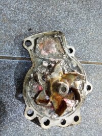 Насос водяной на Nissan Avenir — фото 3