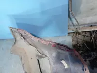 Бампер задний на Hyundai Creta GS — фото 5