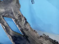 Бампер передний на Volkswagen Tiguan — фото 4