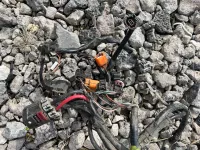 Проводка двигателя на Mazda 3 BK — фото 12