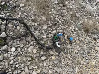 Проводка двигателя на Mazda 3 BK — фото 20