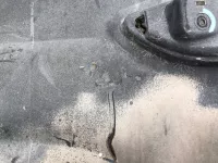 Бампер задний на Hyundai Solaris — фото 15