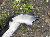 Бампер задний на Opel Zafira B — фото 27