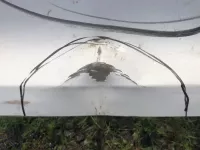 Дверь багажника на Volkswagen Tiguan — фото 2