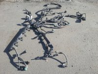 Проводка двигателя на Honda CR-V RE — фото 3