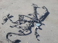 Проводка двигателя на Honda CR-V RE — фото 1