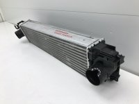 Интеркулер на Geely Tugella FY11 — фото 9
