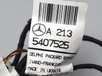 проводка двери задней левой на Mercedes-Benz E-Class W213 — фото 2