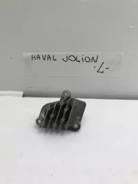 Биксеноновый модуль на Haval Jolion — фото 6