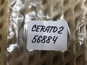 Кнопка обогрева сидений Kia Cerato 2009-2013 (933331M300WK 933331M300WK) — фото 5