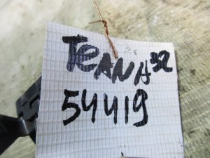 Кнопка многофункциональная Nissan Teana J32 2008-2013 (SHIFT LOCK АВАРИЙНОЕ ОТКЛЮЧЕНИЕ 96945JN00A) — фото 4