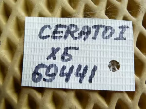 Петля двери багажника Kia Cerato 2004-2008 (КОМПЛЕКТ 797702F200) — фото 4