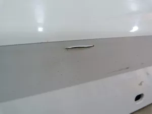 Накладка на порог BMW 3-serie F34 GT 2012-2020 (М-Пакет КОМПЛЕКТ 51778057147 51778057148) — фото 28