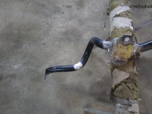 Стабилизатор передний Hyundai Elantra 2006-2011,Ceed 2007-2012,i30 2007-2012,Cerato 2009-2013 (548102H000) — фото 3