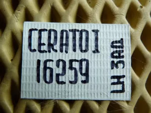 Уголок двери задней внутренний Kia Cerato 2004-2008 (839102F200 839202F200) — фото 16