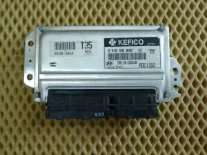Блок управления двигателем Hyundai Accent II (+TAGAZ) 2000-2012 (1.5 16V G4EC 3911026640) — фото 1