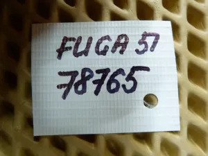 Обшивка крышки багажника Nissan Fuga Y51 2009-2022 (849661ME0A) — фото 12
